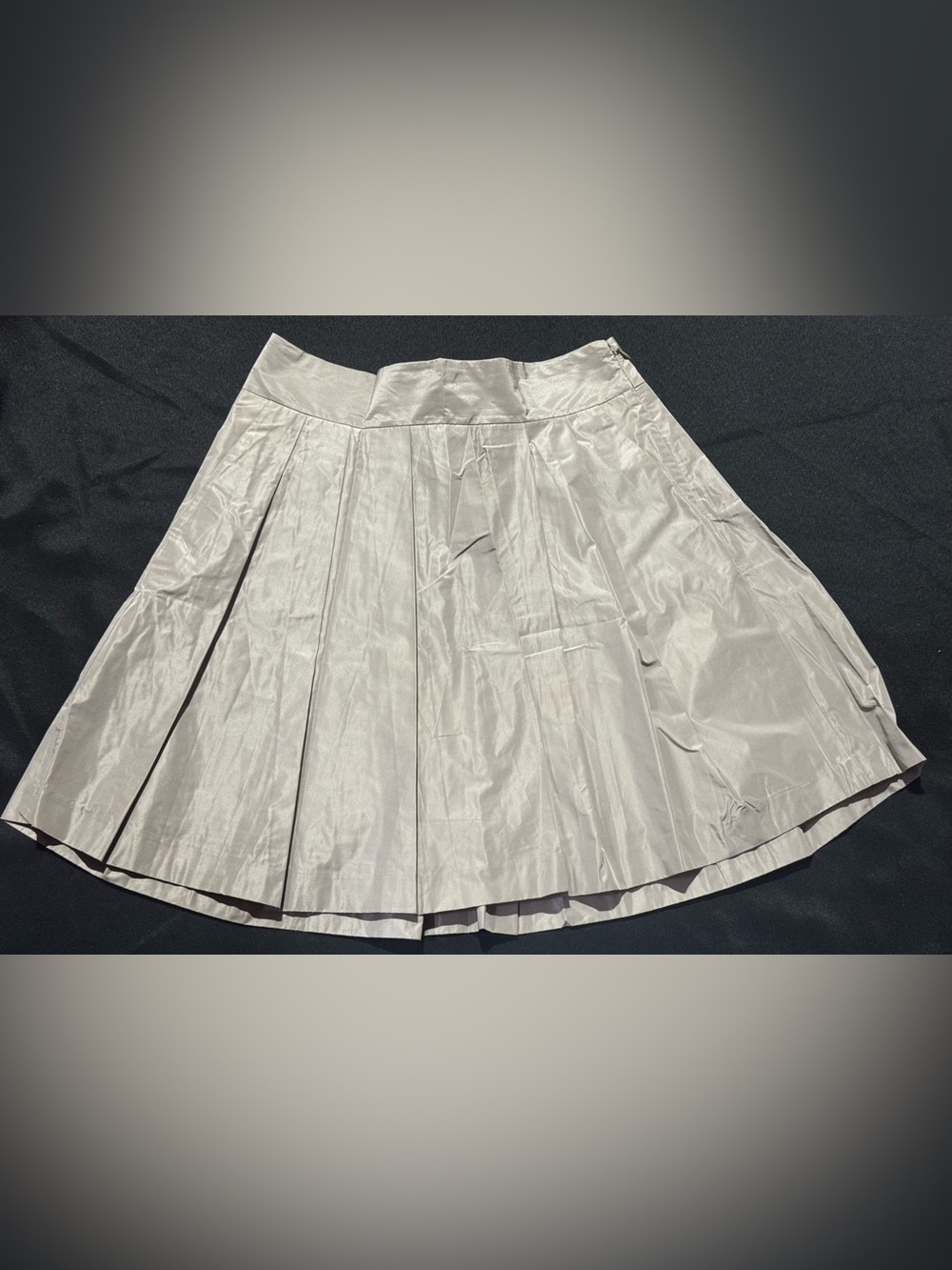 Ann Taylor Shimmery Pleated A-Line Skirt with pockets